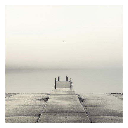 Pier and Seagull