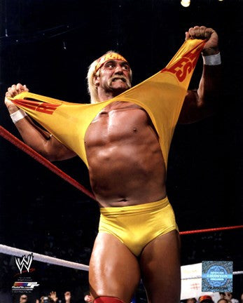 Hulk Hogan in action