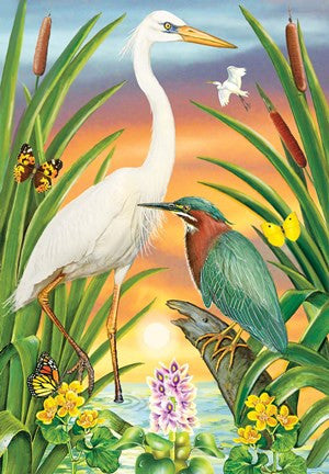 Green And White Herons