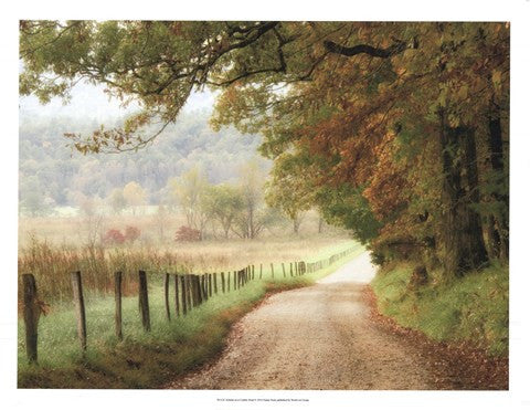 Autumn on a Country Road