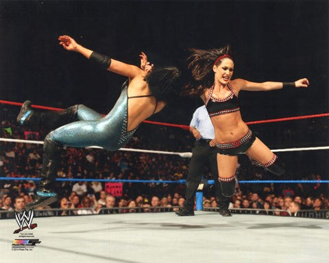 Brie Bella 2014 Action