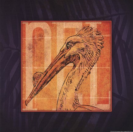 Pelican