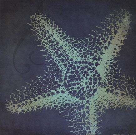 Starfish Silhouette