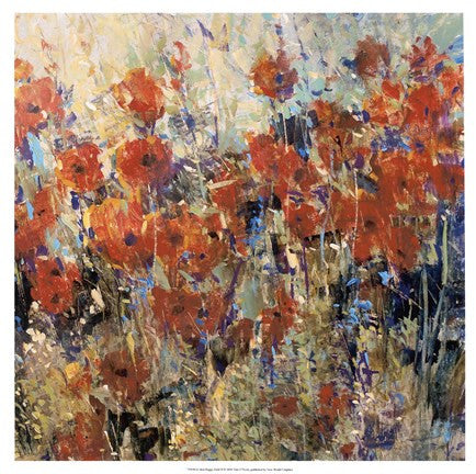 Red Poppy Field II