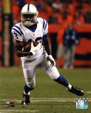 T.Y. Hilton 2014 Action