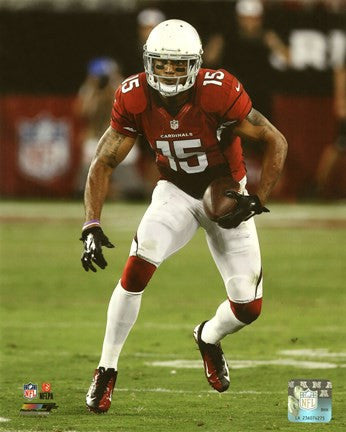 Michael Floyd 2014 with the ball