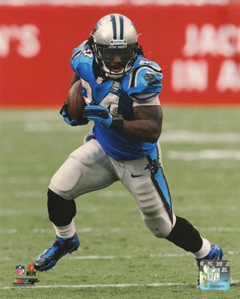 DeAngelo Williams 2014 Action