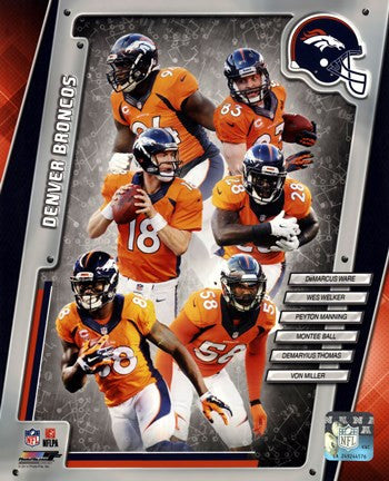 Denver Broncos 2014 Team Composite