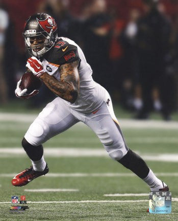 Mike Evans 2014 Action