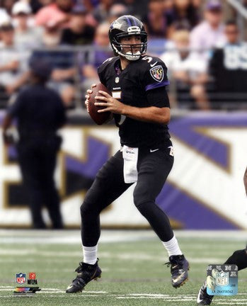 Joe Flacco 2014 Action