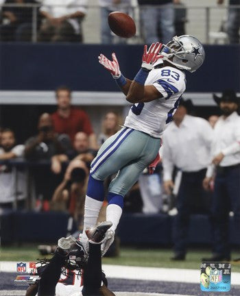 Terrance Williams football 2014