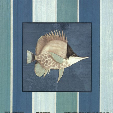 Fish on Stripes II