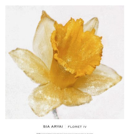 Floret IV