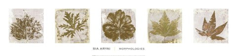 Morphologies