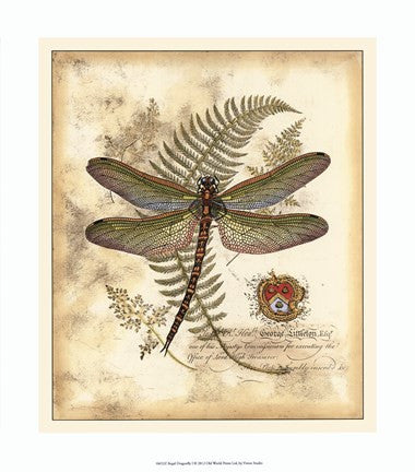 Regal Dragonfly I