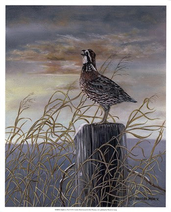 Quail on a Post