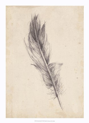 Feather Sketch IV