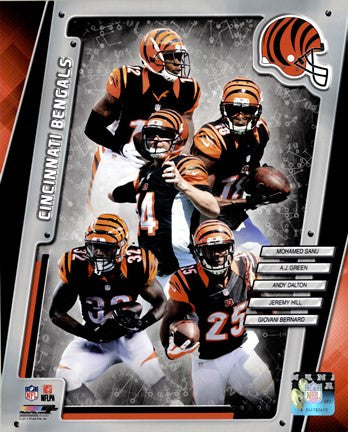 Cincinnati Bengals 2014 Team Composite