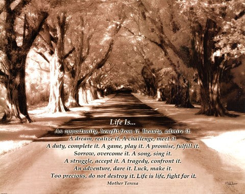 Life Is...