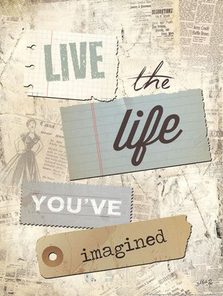 Live the Life You've Imagined