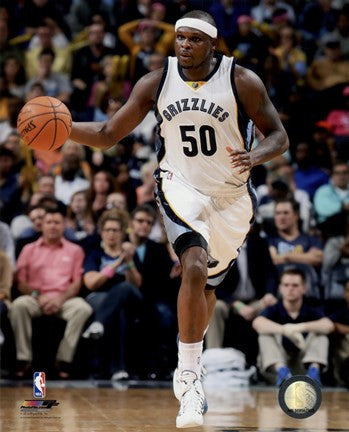 Zach Randolph 2014-15 Action