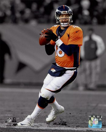 Peyton Manning 2014 Spotlight Action