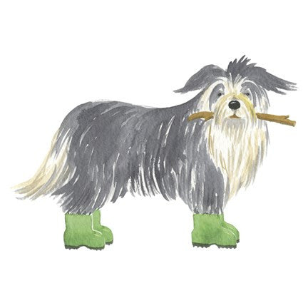 Shaggy Dog I