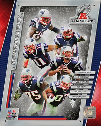 New England Patriots 2014 AFC Champions Team Composite