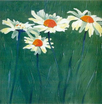 White Daisies