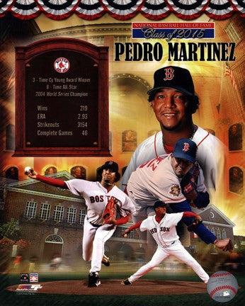 Pedro Martinez MLB Hall of Fame Legends Composite