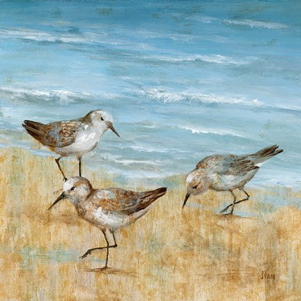 Sandpipers II