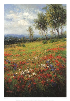 Wildflowers