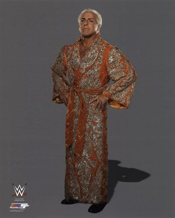 Ric Flair Posed