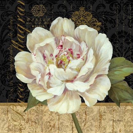 Antique Still Life Peony