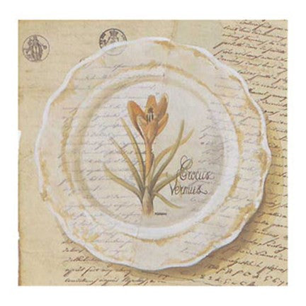 Assiette, Crocus vermus