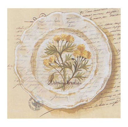 Assiette, Adonis Vernalis