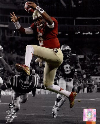 Jameis Winston Florida State University Seminoles 2013 Spotlight Action