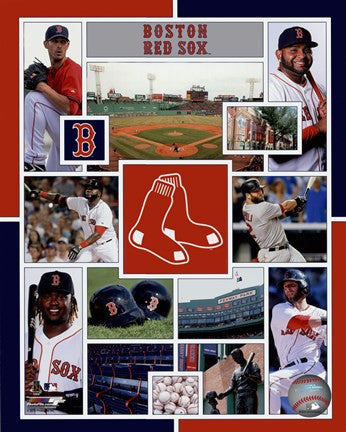 Boston Red Sox 2015 Team Composite