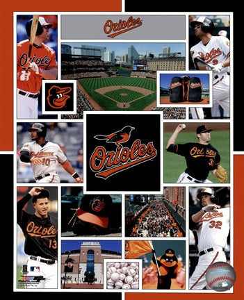 Baltimore Orioles 2015 Team Composite