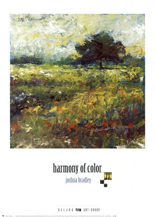 Harmony of Color II