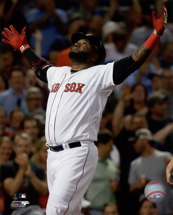 David Ortiz 2015 Action