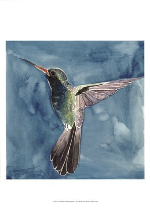 Watercolor Hummingbird II