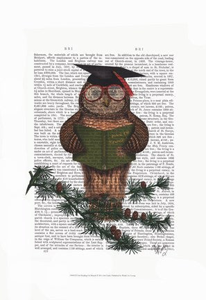 Owl Reading On Branch