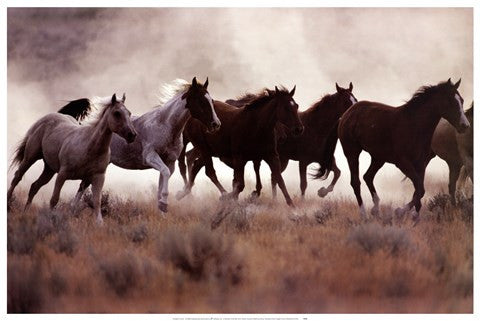 Grassland Herd