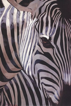 Zebra Stripes