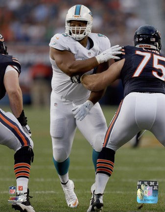 Ndamukong Suh 2015 Action