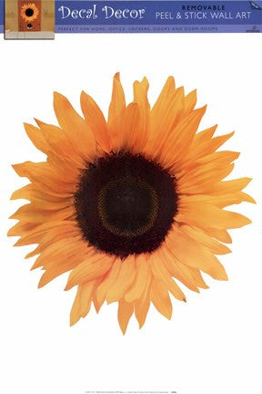 Single Sunflower