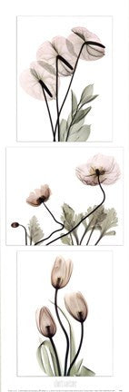 Flowering Triptych