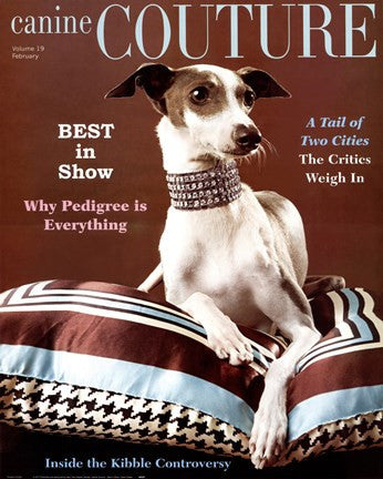 Canine Couture-Best In Show