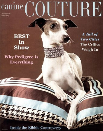 Couture - Best In Show